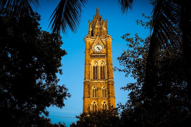 Bombay Fort Heritage Walking Tour - Cricket and city views at Oval Maidan