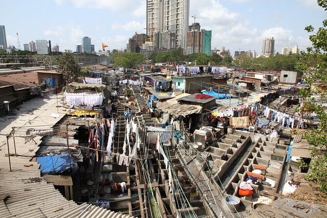 Dharavi, Dhobighat, and Mumbai Dabbawallas - Who will enjoy this experience most