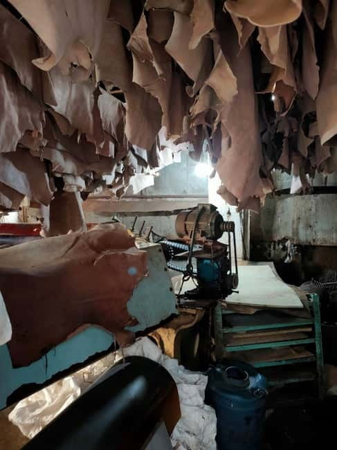 Dharavi Slum Tour - Guides who shape the experience