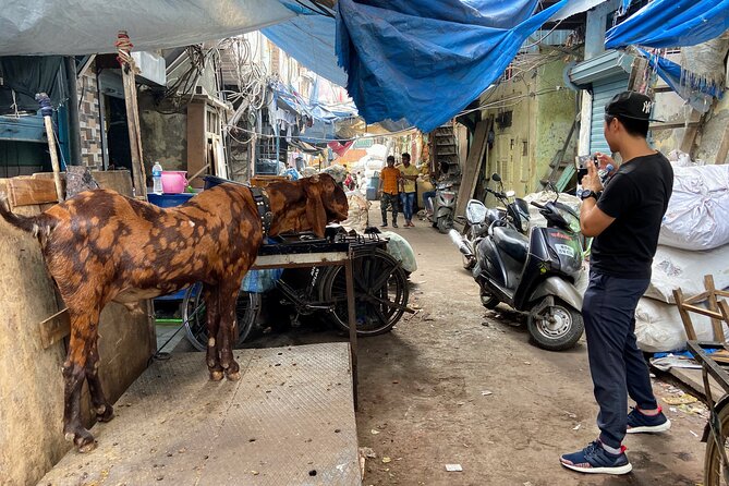 Dharavi Slum Tour in Mumbai with Combo Packages & Transfers - Choosing a combo package