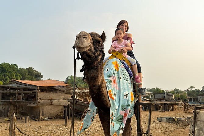 Hill-station & Heritage: Lonavala & Karla Caves Tour from Mumbai - The Mumbai drive sets the rhythm of the day