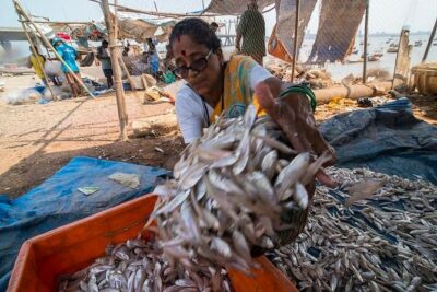 Mumbai 800 Year Worli Village: Talking Goddess, Old Fort & more