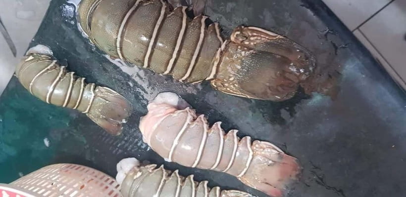 Mumbai Coastal Cooking: From Fishing Net to Flavourful Plate - The fish market is part of the lesson
