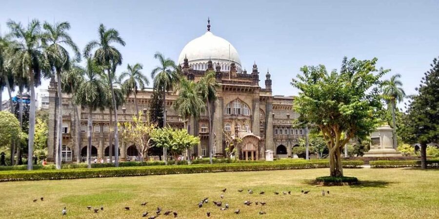 Mumbai: Customizable City Sightseeing Tour with Hotel Pickup - What the guides add to the day