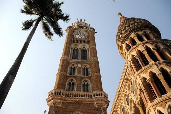 Mumbai Day Tour By Car - The Car, Driver, and Guide Matter