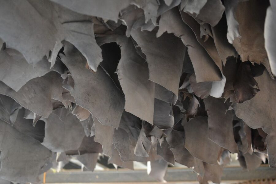 Mumbai: Dharavi Slum Tour with Dhobi Ghat (Open-Air Laundry) - Is $4.94 good value?