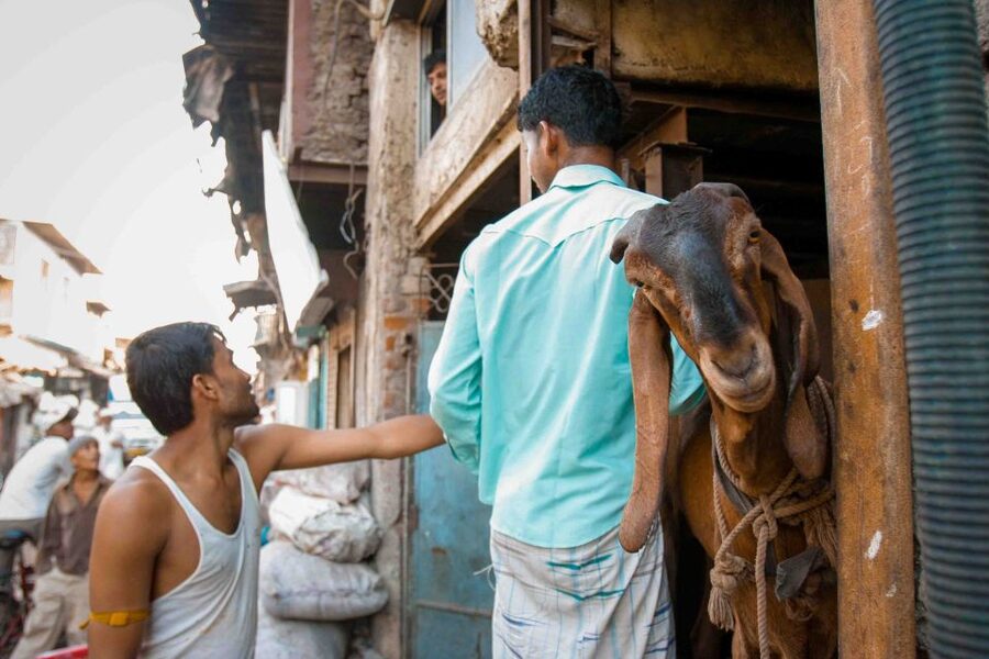 Mumbai: Dharavi Tour Including Car Transfer - Key points to know before booking