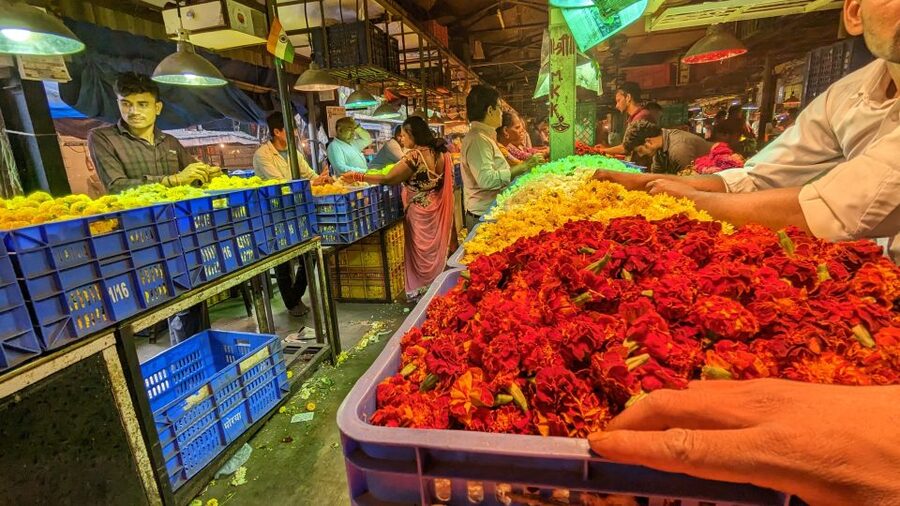 Mumbai Hidden Gems : Early Morning Tour with Expert Guide - Mumbai before the traffic arrives