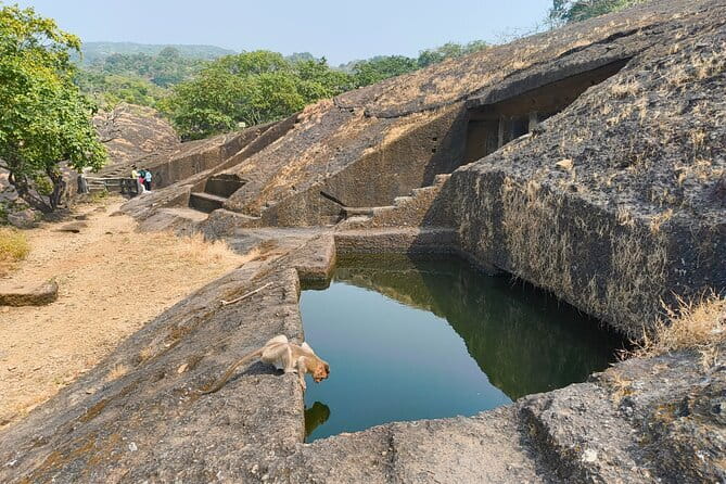 Mumbai Kanheri Caves & Golden Pagoda – A Buddhist Settlement - Timing, pace, and physical effort