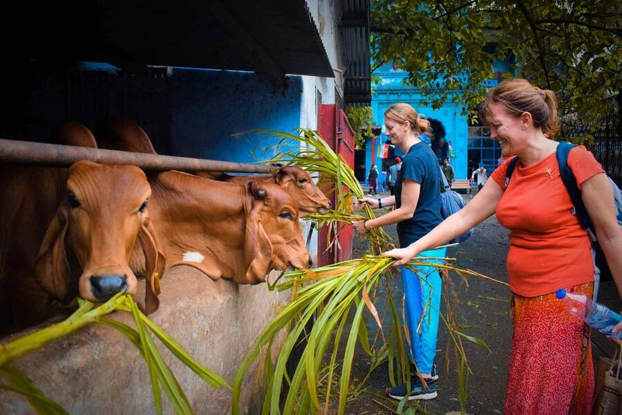 Mumbai: Local Markets & Temples Tour - Who should book this market walk