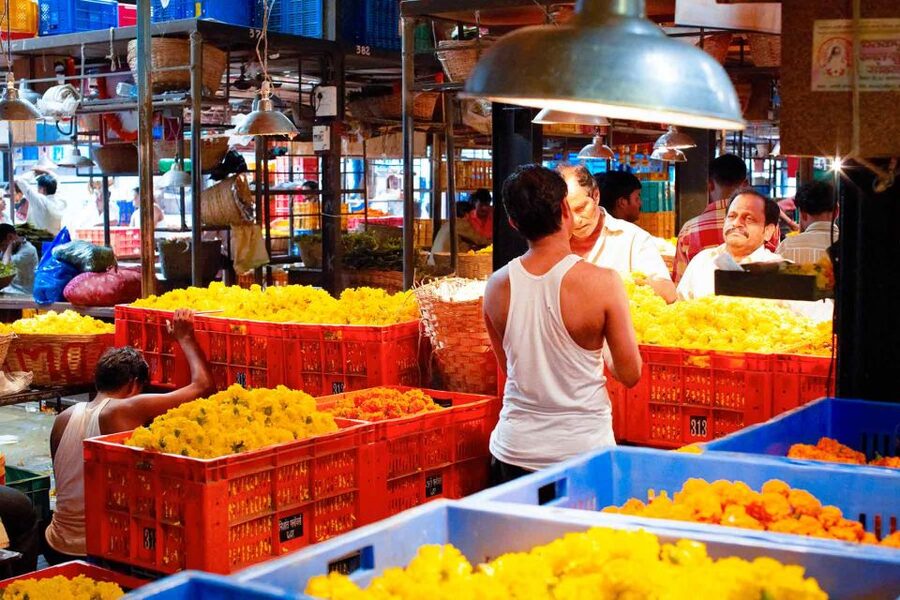 Mumbai: Local Transport & Dabbawallah Tour - The dabbawalas and Mumbai’s famous lunch system