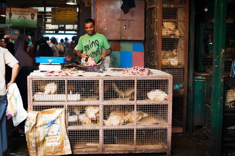 Mumbai: Local Transport & Dabbawallah Tour - Dadar Flower Market in a 15-minute burst