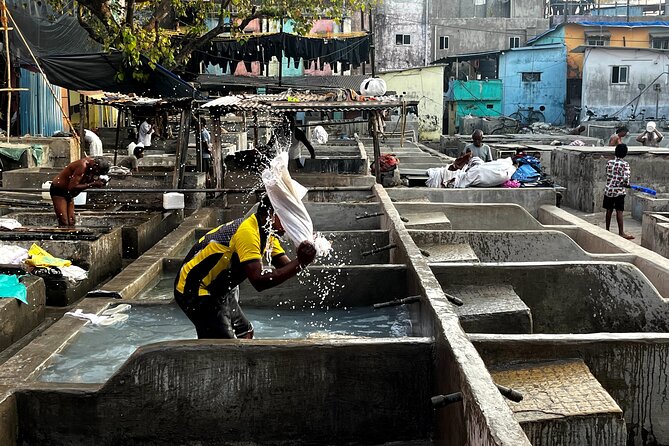 Mumbai Morning Market Tour of Flowers, Fish, and More - Price, timing, and the real value