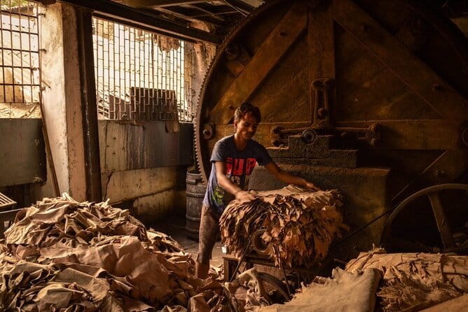 Private Walking Tour in Dharavi Slums - The two-hour route through homes and workshops