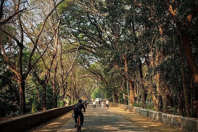 Sanjay Gandhi National Park and Kanheri Caves Day Private Tour - Kanheri Caves and the black mountain