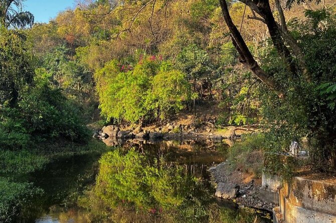 Sanjay Gandhi National Park and Kanheri Caves Day Private Tour - A closer look at Sanjay Gandhi National Park