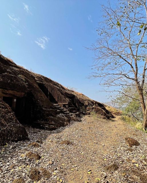 Sanjay Gandhi National Park + Kenheri Caves + Lion Safari - Jain temple, Pagoda, and a change of pace