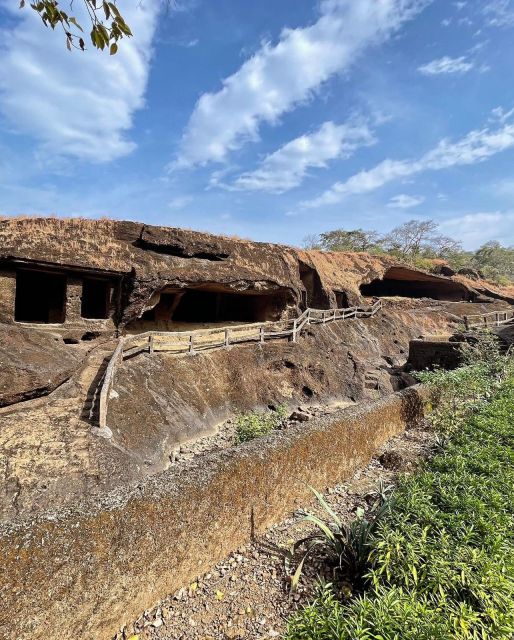Sanjay Gandhi National Park + Kenheri Caves + Lion Safari - Should you book it?