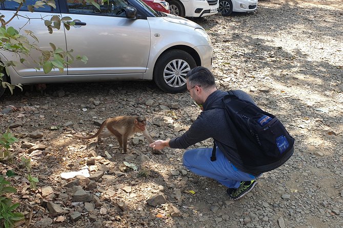 Sanjay Gandhi National Park(SGNP) + Kenheri Caves + Lion Safari + Jain Temple - What the private car adds