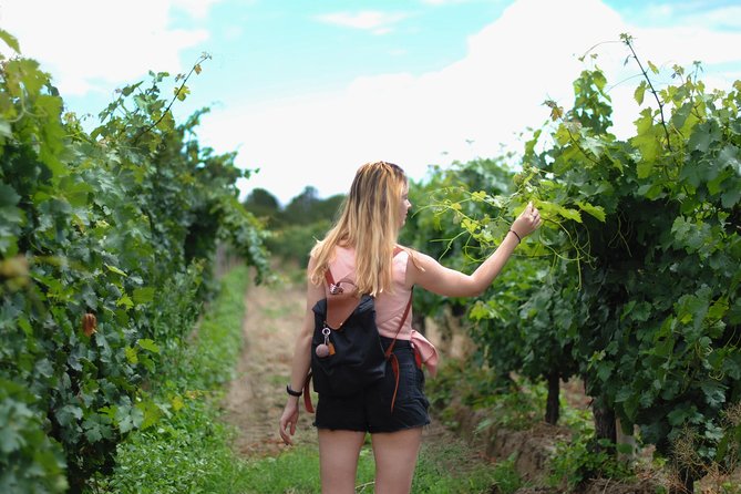 Sula Vineyards Day tour from either Mumbai OR Nashik - Key points at a glance